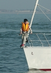 081011 GBR8701T 8CDX1013