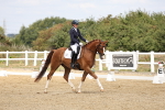 SBM_018331