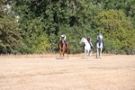 WJ6_7220