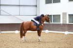 SBM_000938