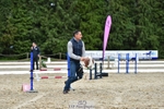 Hobby Horse Comp portfolio
