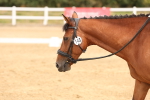 SBM_000705