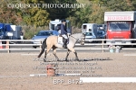BPP_8472