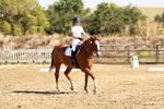 SBM_001339