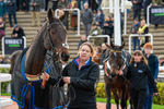 161125-Race 1-Ribba Hill-1110
