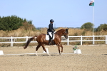 SBM_013105