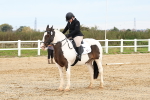 SBM_001372