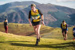 Sale Fell-530