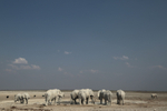 Old Men Hang Out at the Waterhole