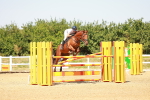 SBM_002224