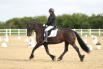 Class 13 - Novice 23 - 8,30-9.33 portfolio