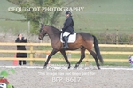 BPP_8617