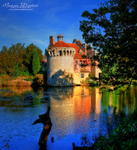 Scotney Colours