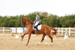 SBM_007413