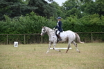 WJ6_0345