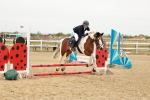 SBM_007379