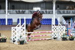 SBM_000586