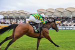 240126-Race 6-The New Lion-7498