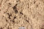 240629A-165537-08197