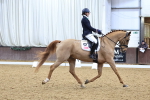 SBM_001667