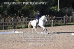 BPP_8367
