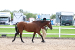 SBM_04438