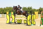 SBM_001358