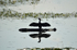 Pygmy Cormorant