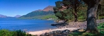 Rowardennan, Loch Lomond, The Trossachs