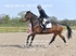 BPP_3762