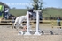 BPP_6851