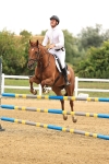 SBM_002378