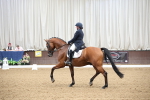 SBM_004462