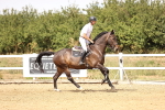SBM_001240