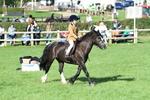 SBM_50360