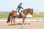 Cls 16 Premier League FEI Grand Prix portfolio