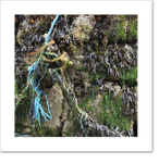 Harbour wall I