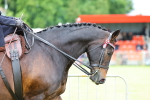SBM_02927