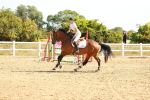 SBM_002675