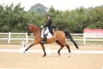 SBM_008036