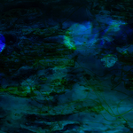 Mysteries of the Deep
