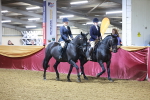 SBM_15071