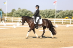 SBM_002616