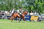 SBM_17388