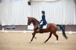SBM_009601
