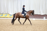 SBM_001037