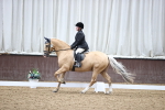 SBM_02277