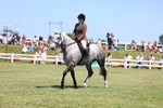 3E7A8203