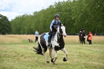 WJ6_5736