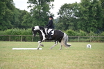 WJ6_6639
